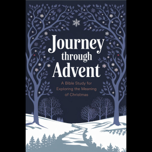Chapter 1: Understanding Advent 4
