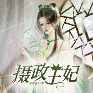 摄政王妃2