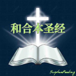 和合本圣经-logo