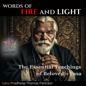 Words of Fire and Light