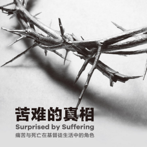 苦难的真相