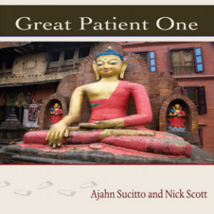 Great Patient One