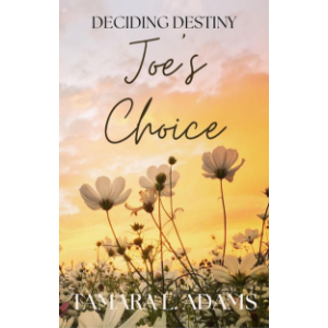 Deciding Destiny: Joe's Choice-logo