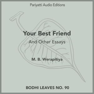 Your Best Friend