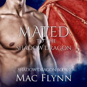 Mated to the Shadow Dragon: Shadow Dragon Book 2 (Dragon Shifter Romance)