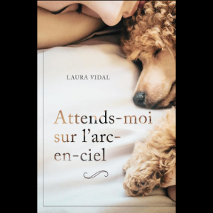 Attends-moi sur l’arc-en-ciel