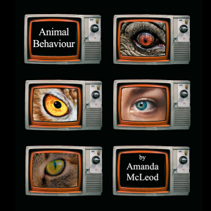 Animal Behaviour-logo