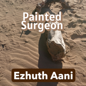Painted Surgeon