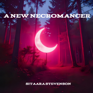 A New Necromancer