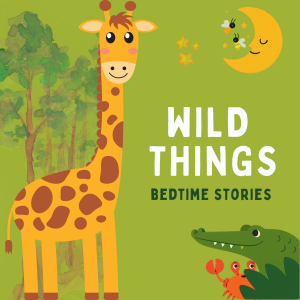 Wild Things-logo