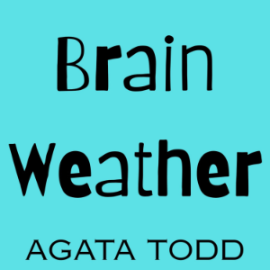 Brain Weather-logo