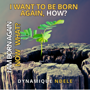 I Want To be Born Again How? I am Born Again Now What?