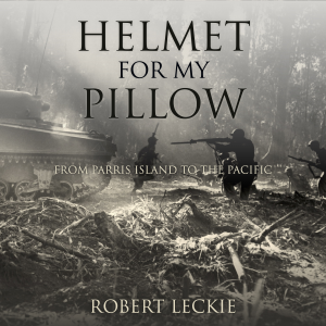 Helmet for My Pillow