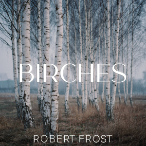Birches