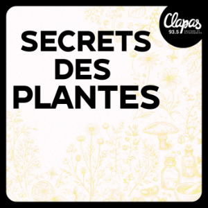 Secrets des Plantes-logo
