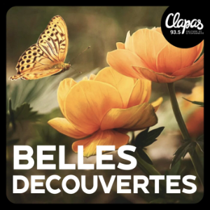 Belles Decouvertes-logo