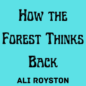 How the Forest Thinks Back