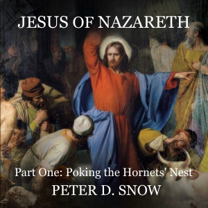 Jesus of Nazareth, Poking the Hornets' Nest. Part 1