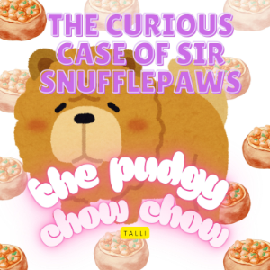 "The Curious Case of Sir Snufflepaws, the Pudgy Chow Chow
