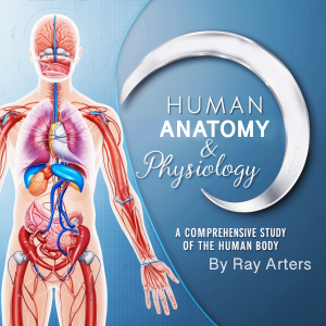 Human Anatomy & Physiology