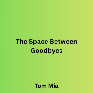 The Space Between Goodbyes