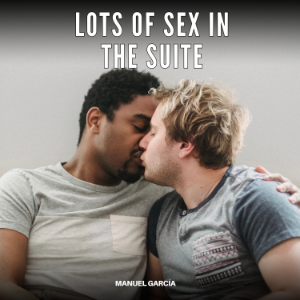 Lots of Sex in the Suite-logo