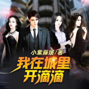 我在城裏開滴滴2