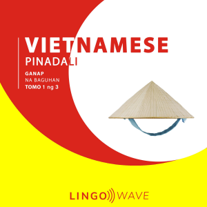 Vietnamese Pinadali - Ganap na Baguhan - Tomo 1 ng 3