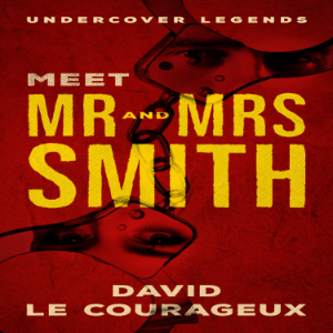 Meet Mr and Mrs Smith-logo