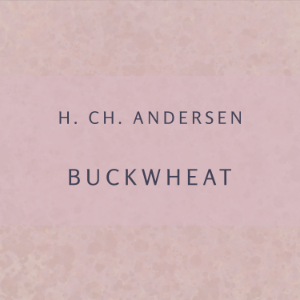 Buckwheat