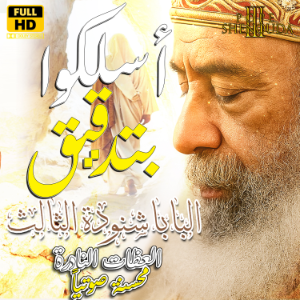 أسلكوا بتدقيق