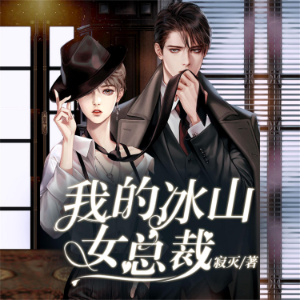 我的冰山美女总裁