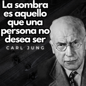 La sombra es aquello que una persona no desea ser-logo