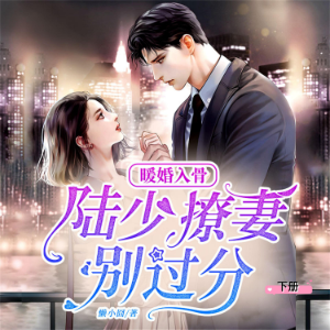 暖婚入骨：陆少，撩妻别过分（下）