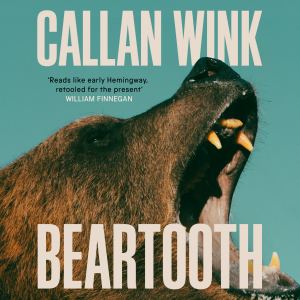 Beartooth