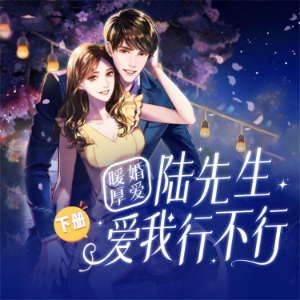 暖婚厚爱：陆先生，爱我行不行（下）