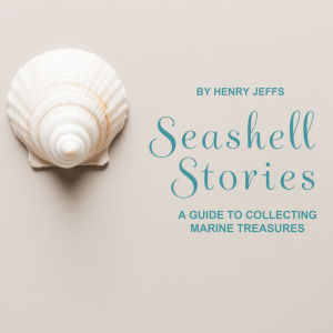 Seashell Stories-logo