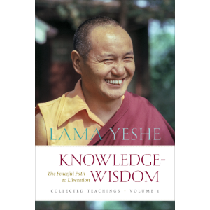 Knowledge-Wisdom-logo