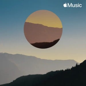 Acoustic Chill-logo