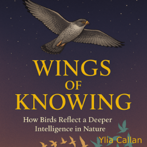 Wings of Knowing