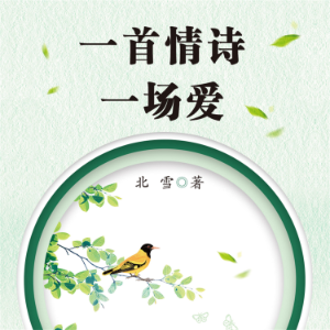 一首情诗一场爱