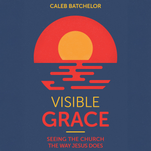 Visible Grace