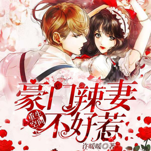 重生空间：豪门辣妻不好惹（下部）
