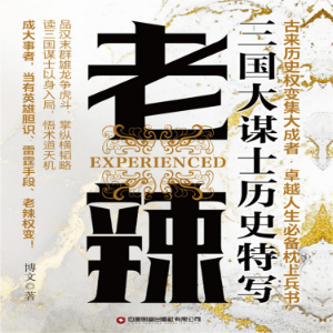 老辣：三国大谋士历史特写