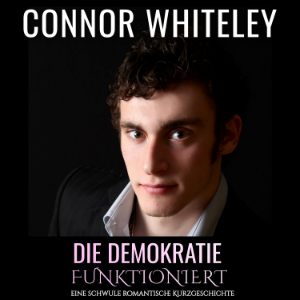 Die Demokratie funktioniert-logo
