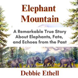 Elephant Mountain