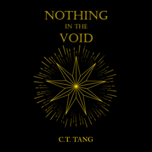 Nothing in the Void
