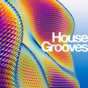 House Grooves-logo