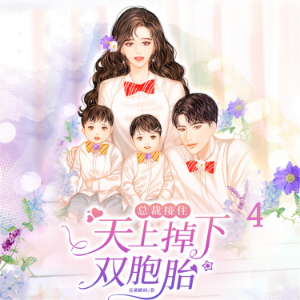 总裁接住，天上掉下双胞胎4
