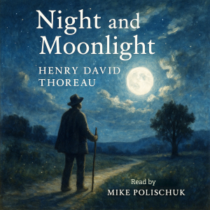 Night and Moonlight-logo
